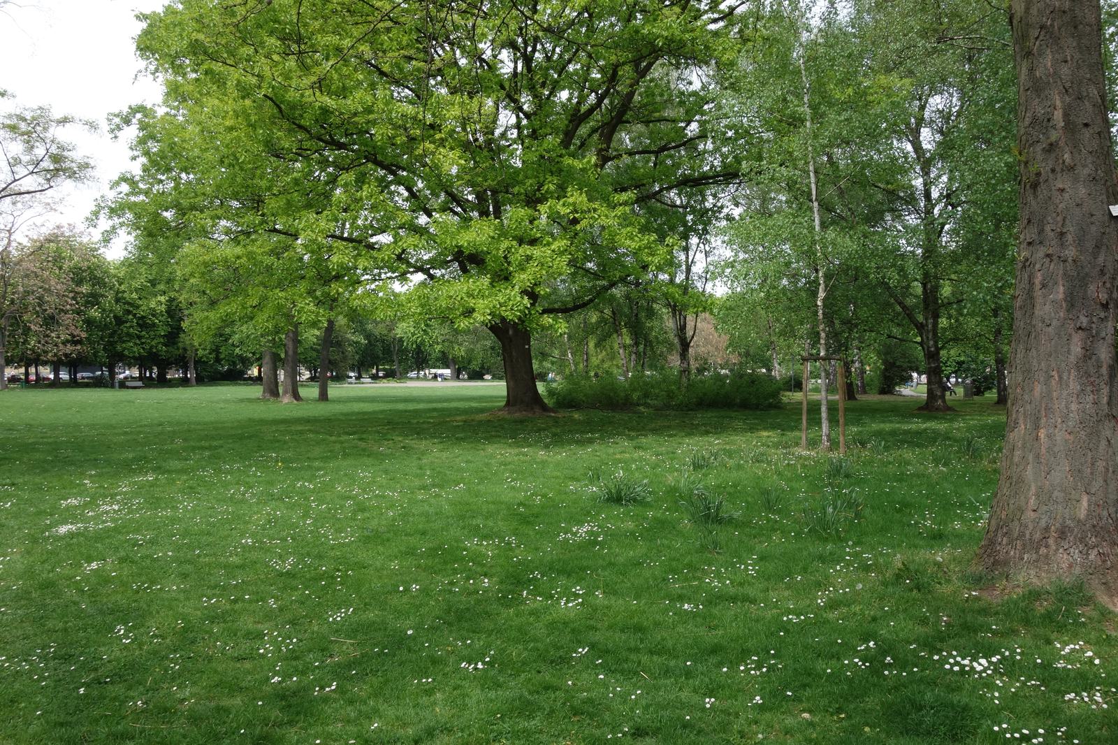 Bärenwiese, Ludwigsburg