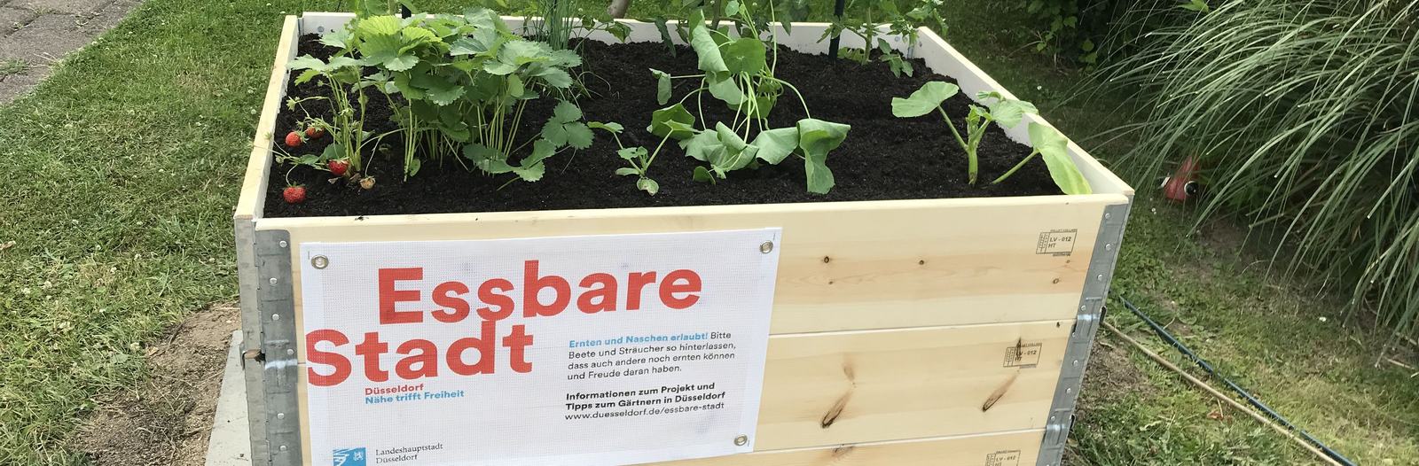Hochbeet Essbare Stadt